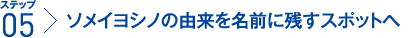 ステップ5：ソメイヨシノの由来を名前に残すスポットへ